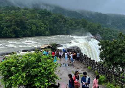 Munnar, Kerala – Nature’s Paradise with Divine Tours