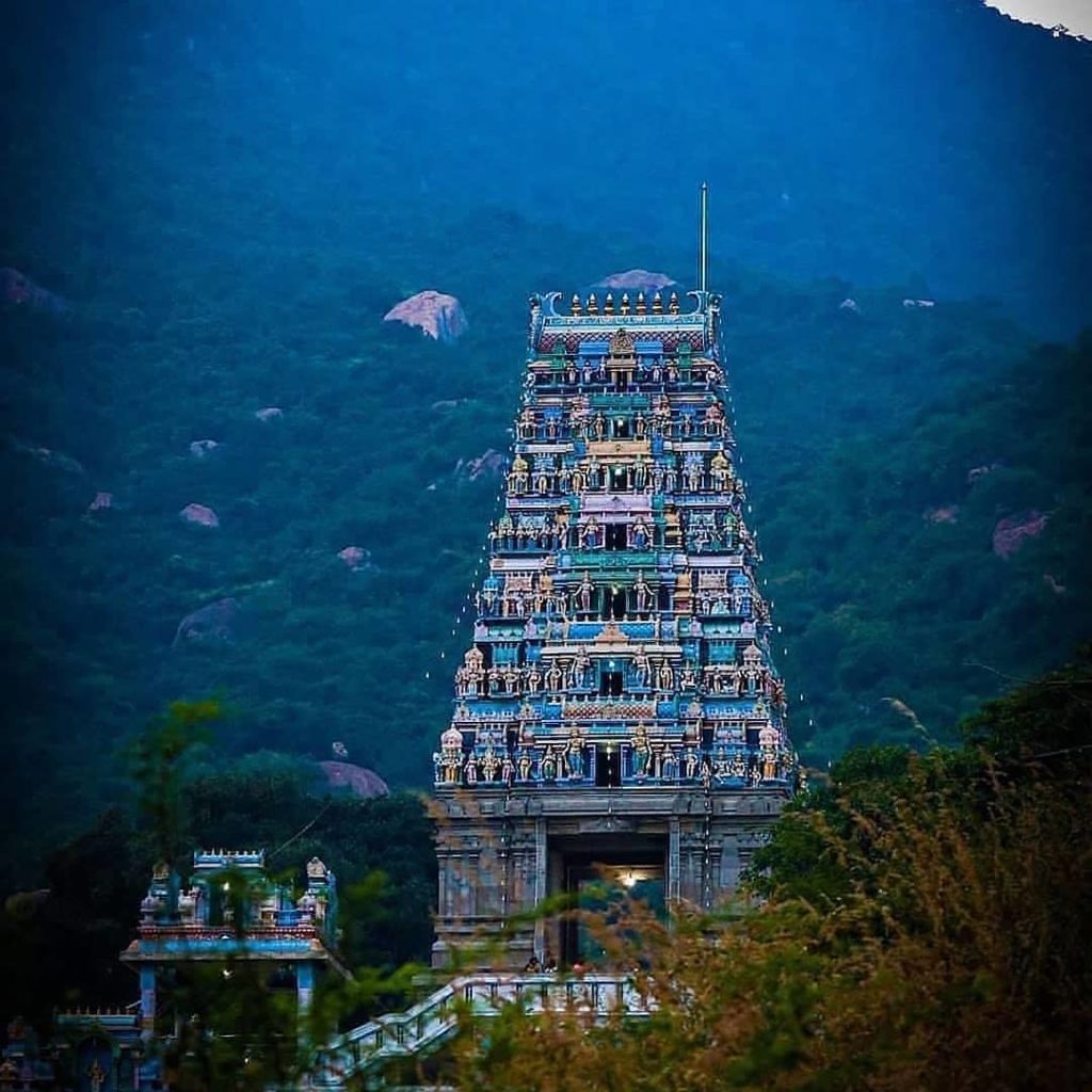 proudlychennai___CBr6mAdp3Nn___-1024x1024